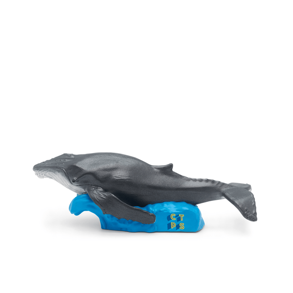National Geographic Kids: Whale Tonie